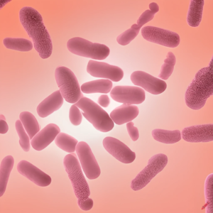 Read more about the article “Microbes: The Good, the Bad, and the Essential”